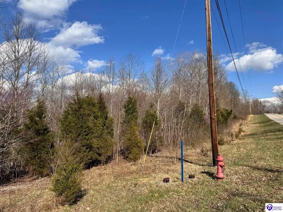 0 Cedar Flat Road, Battletown, KY 40104 - #3