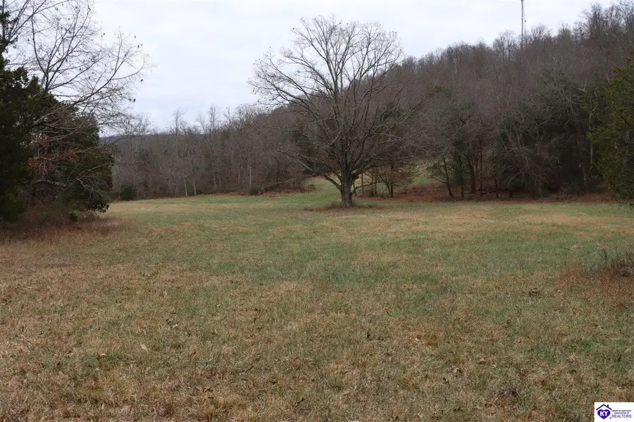 0 Fisher Ridge Road, Horse Cave, KY 42749-0000 - #2