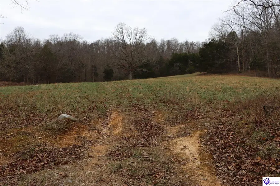 0 Fisher Ridge Road, Horse Cave, KY 42749-0000 - #3