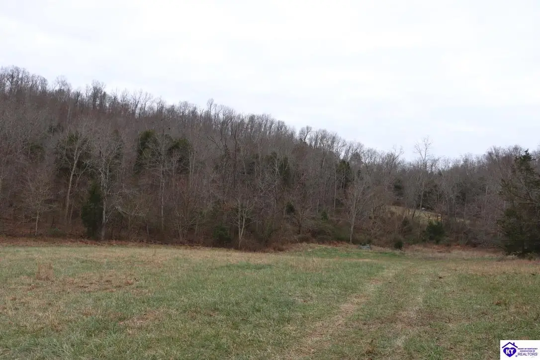 0 Fisher Ridge Road, Horse Cave, KY 42749-0000 - #1