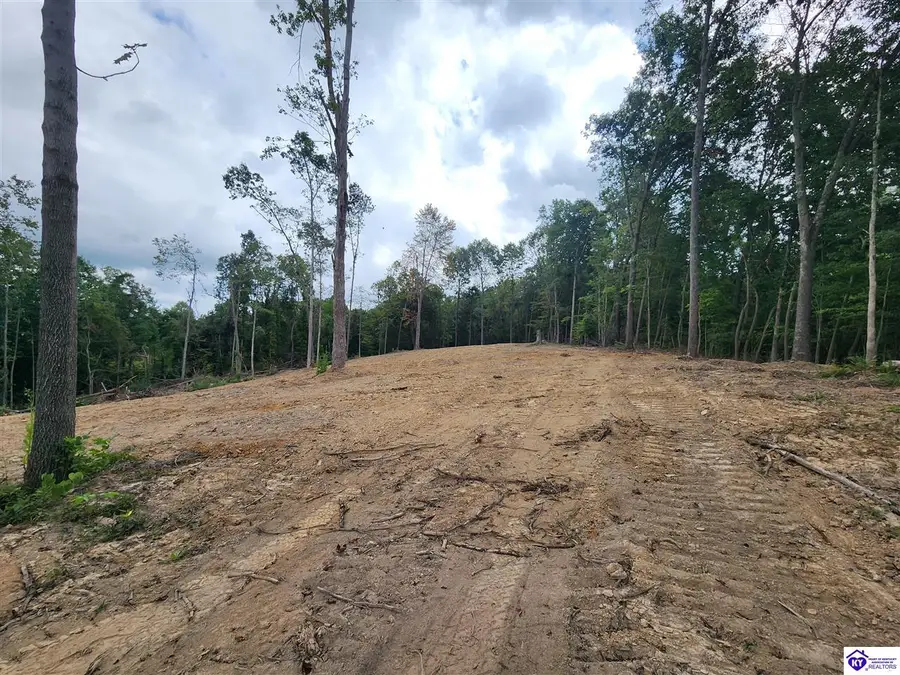 Tract 1 Leitchfield Road, Cecilia, KY 42724 - #2