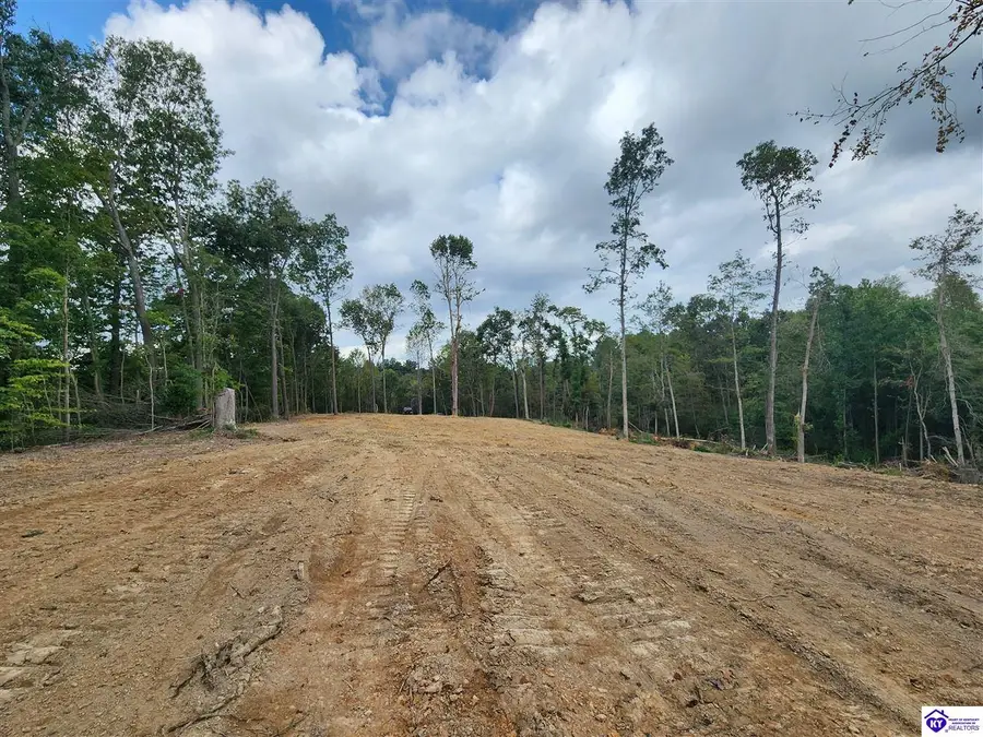 Tract 1 Leitchfield Road, Cecilia, KY 42724 - #3