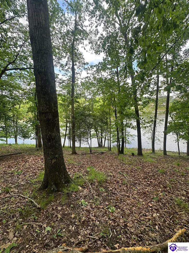 1 Lakeshore Parkway, Brandenburg, KY 40108 - #2