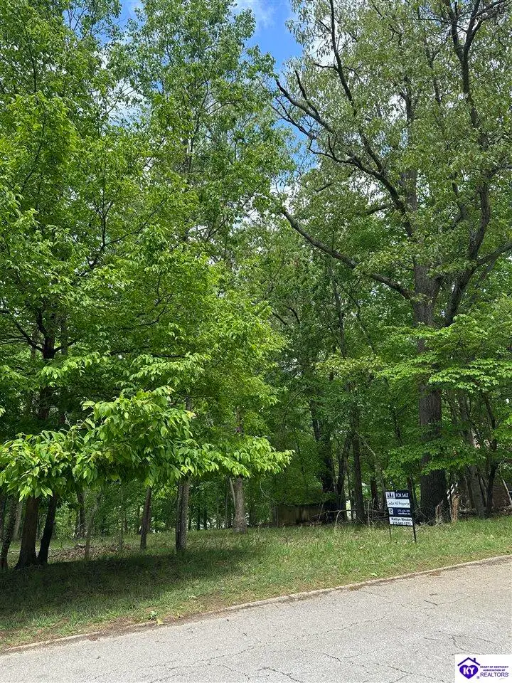 1 Lakeshore Parkway, Brandenburg, KY 40108 - #3