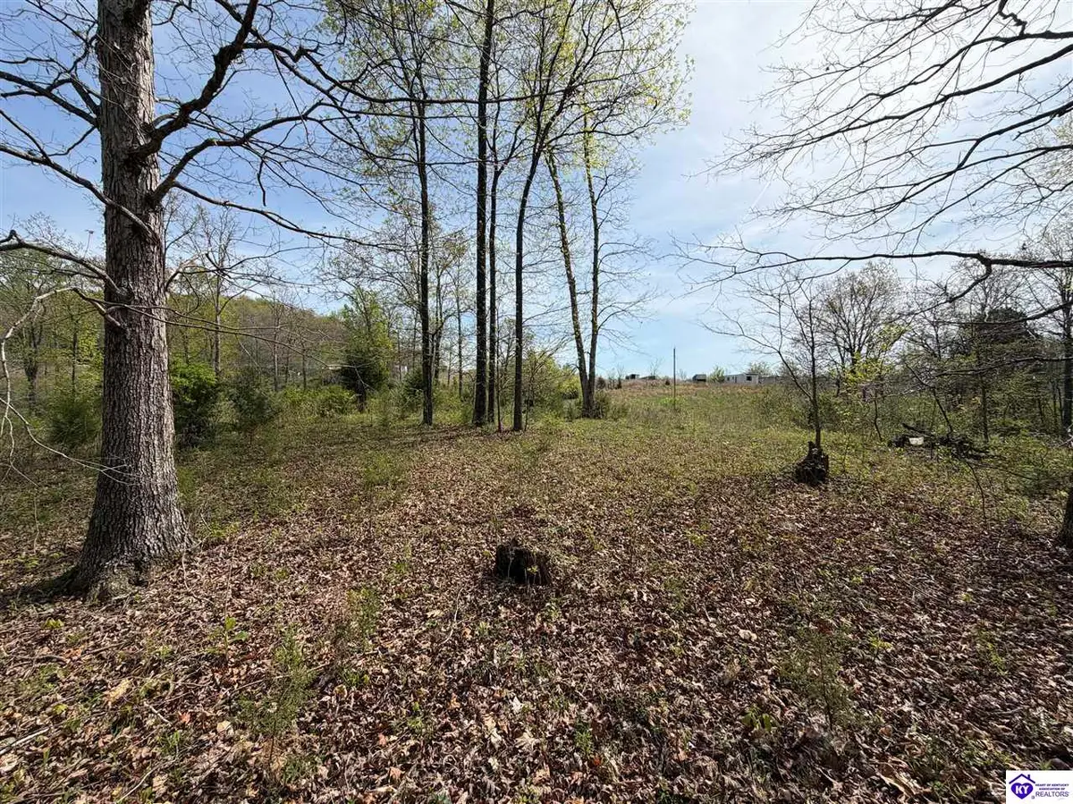 311 Old Glen Dean Axtel Lane, Hardinsburg, KY 40143 - #1