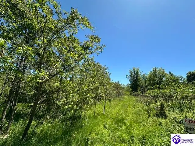 21.99 ac Jack Chappell Road, Webster, KY 40176 - #2
