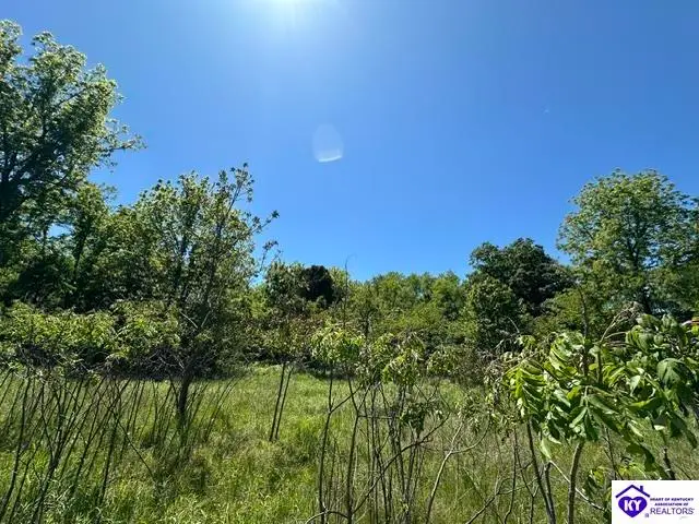 21.99 ac Jack Chappell Road, Webster, KY 40176 - #3