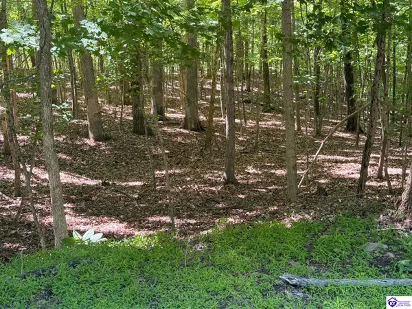 Lot 569 Raspberry Court, Brandenburg, KY 40108