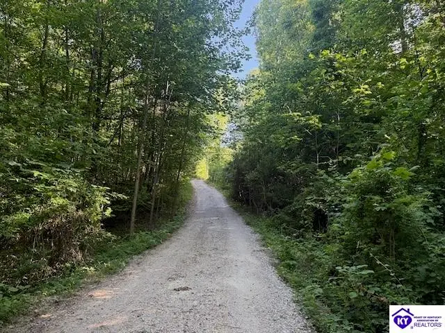 725 Christian Church Road, Brandenburg, KY 40108 - #2