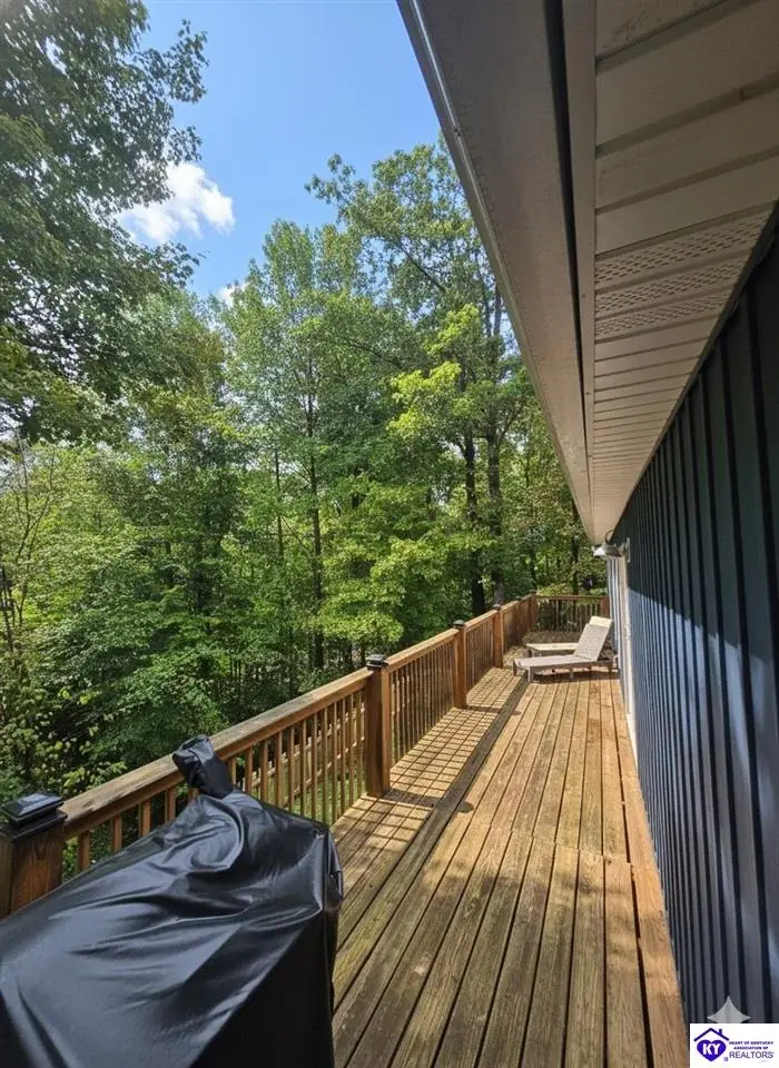241 Apache Trace, Falls Of Rough, KY 40119 - #2