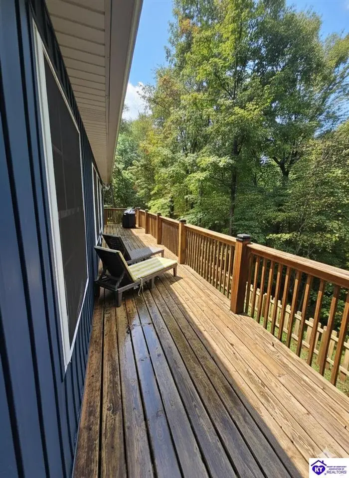 241 Apache Trace, Falls Of Rough, KY 40119 - #3