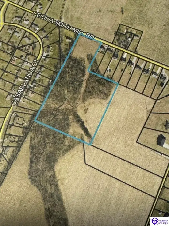 Lot 1 Cecilia Smiths Mill Road, Cecilia, KY 42724 - #1