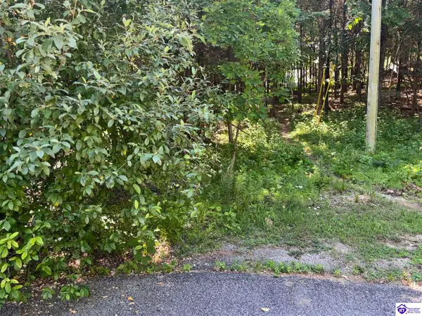 304 Robin Way, Brandenburg, KY 40108