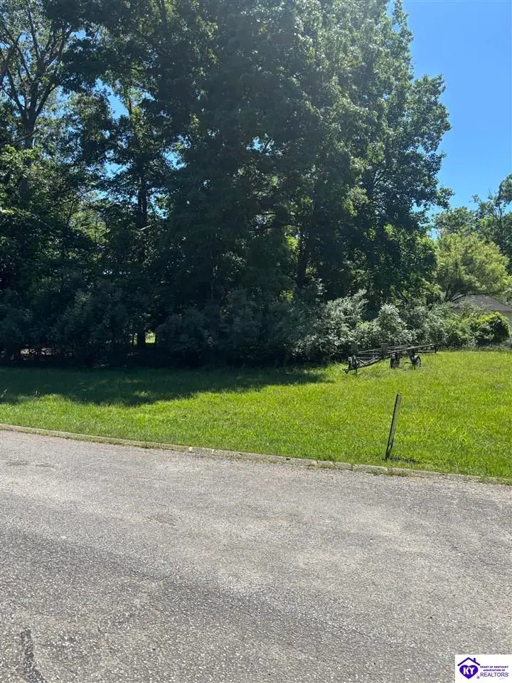 92 Overlook Terrace, Brandenburg, KY 40108 - #2