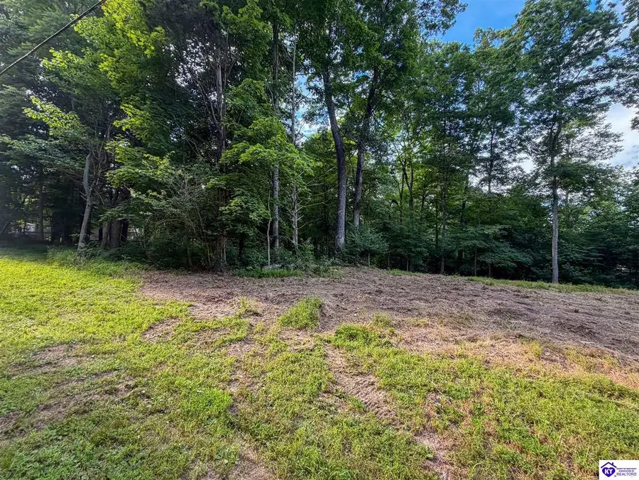 Lot 16 Ferncliff Road, Brandenburg, KY 40108 - #3