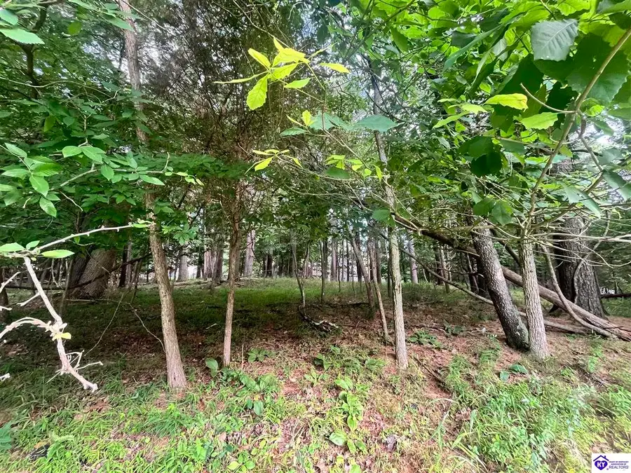 Lot 148 Bent Pine Lane, Brandenburg, KY 40108 - #2