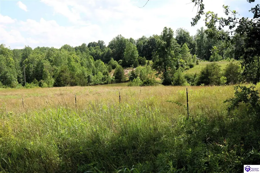 0 Levi Beam Road, Magnolia, KY 42757 - #2