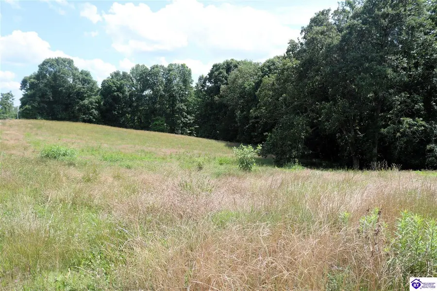 0 Levi Beam Road, Magnolia, KY 42757 - #3