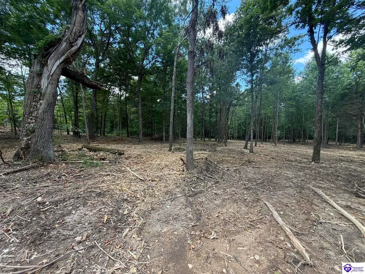 Lot 16 Redhawk, Rineyville, KY 40162 - #1