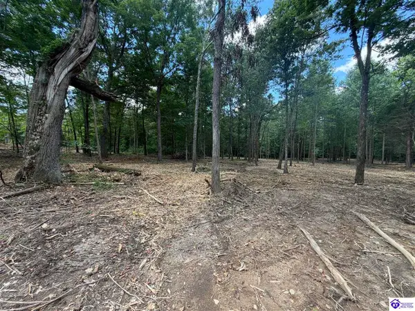 Lot 16 Redhawk, Rineyville, KY 40162