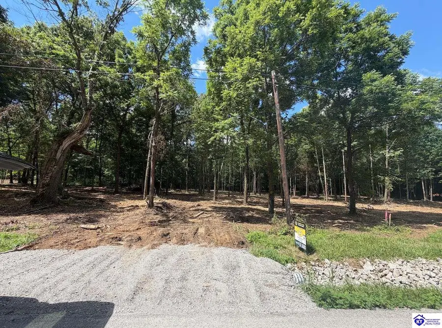 Lot 16 Redhawk, Rineyville, KY 40162 - #3