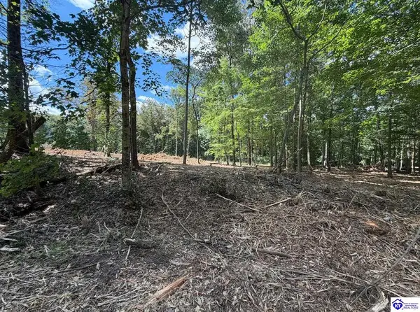 Lot 15 Redhawk, Rineyville, KY 40162