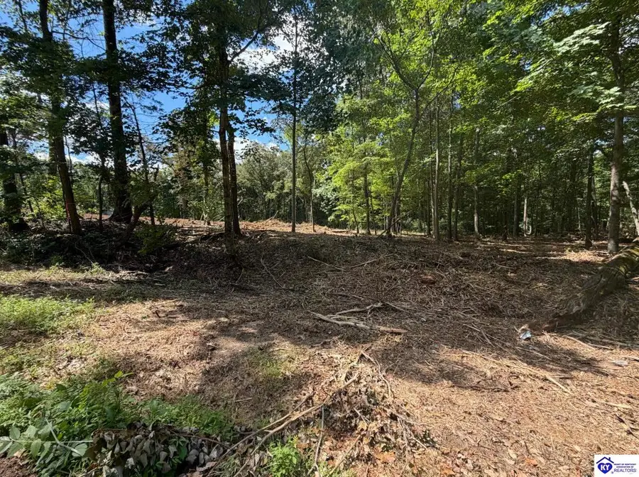 Lot 15 Redhawk, Rineyville, KY 40162 - #3