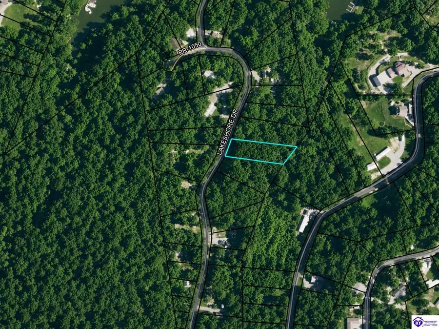 169 Sunset Drive, Cub Run, KY 42729 - #2