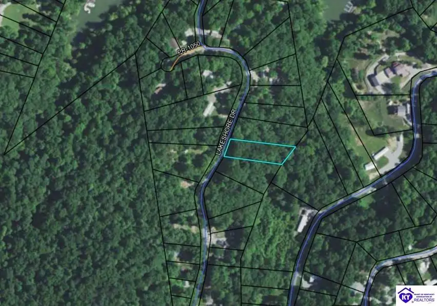 169 Sunset Drive, Cub Run, KY 42729 - #3
