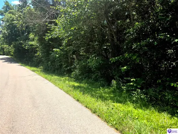 Tract 2 Johnson Harris School Road, Rineyville, KY 40162