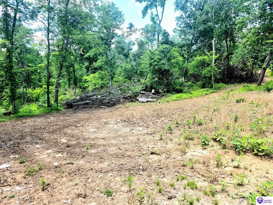 Tract 2 Johnson Harris School Road, Rineyville, KY 40162 - #3