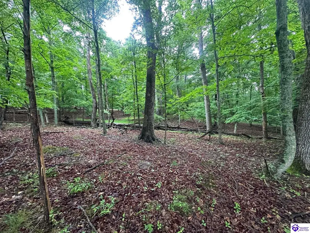 0 Red Wing Road, Brandenburg, KY 40108 - #1
