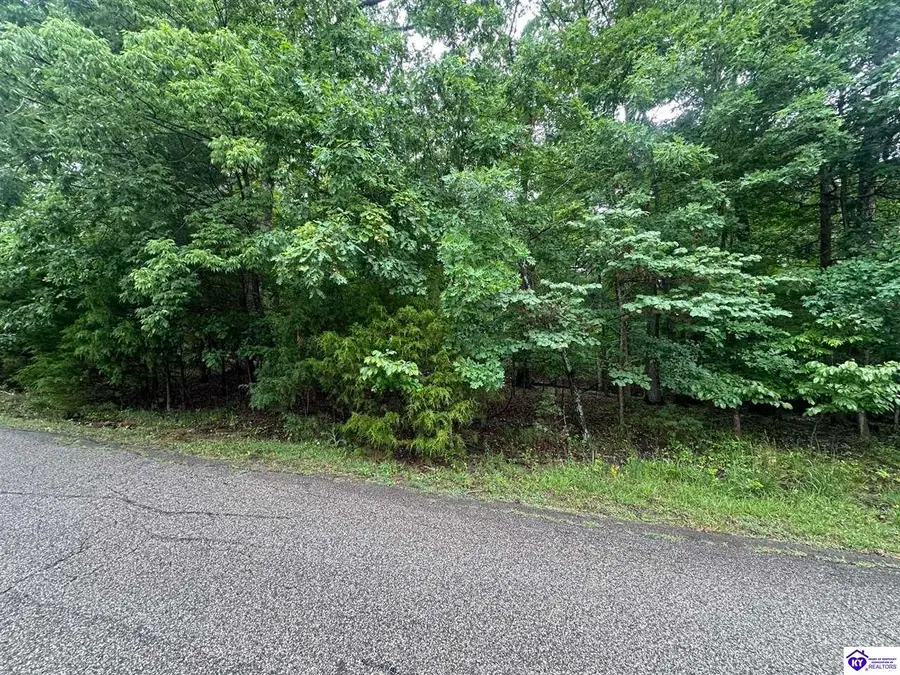 0 Red Wing Road, Brandenburg, KY 40108 - #2