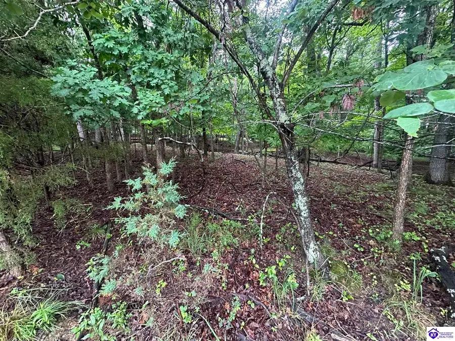 0 Red Wing Road, Brandenburg, KY 40108 - #3