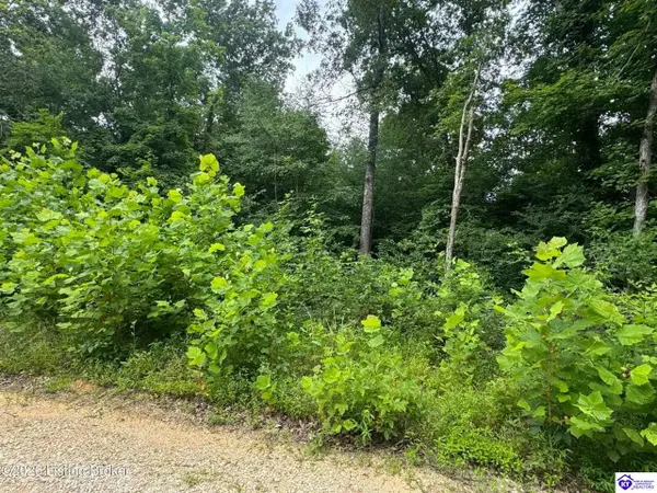 0 Ted Logsdon Road, Clarkson, KY 42726