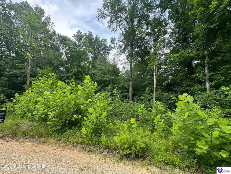 0 Ted Logsdon Road, Clarkson, KY 42726 - #3
