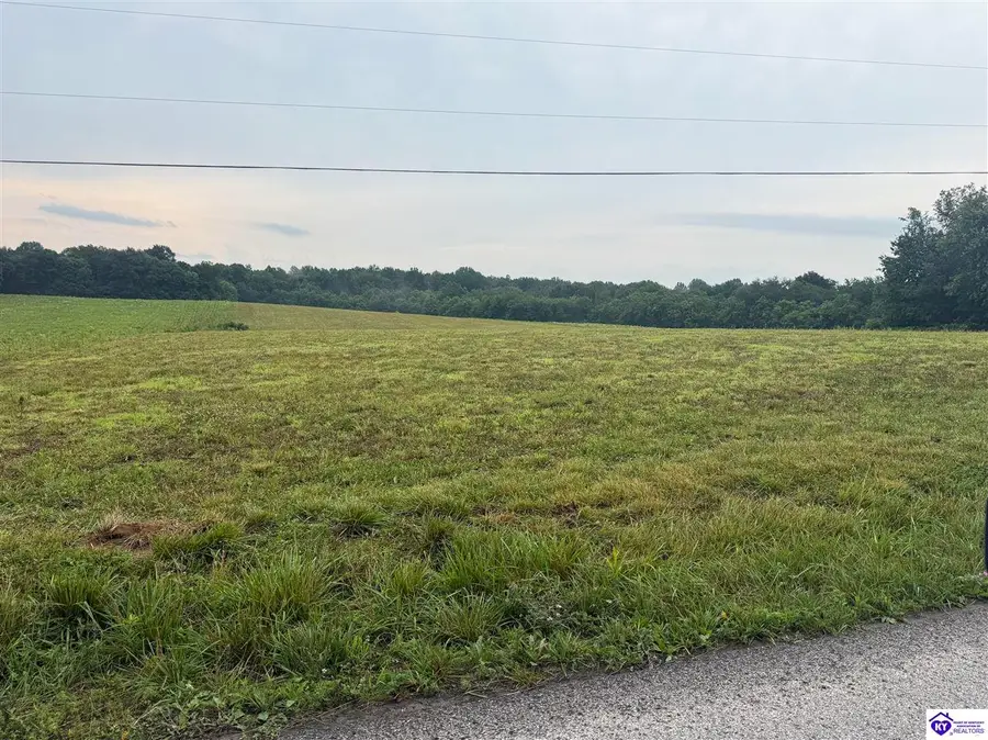 Lot 5 Heying Lane, Hodgenville, KY 42748 - #3