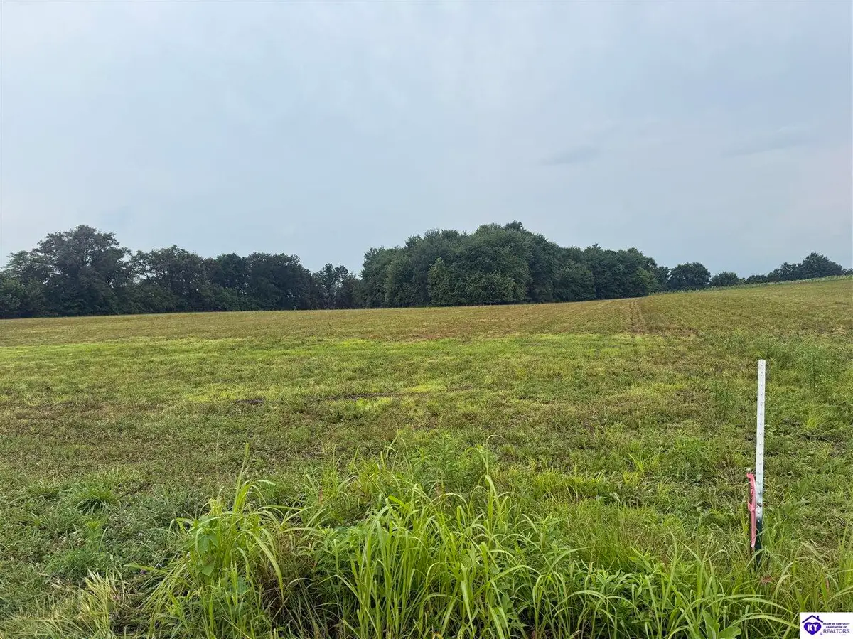 LOT 8 Heying Lane, Hodgenville, KY 42748 - #1