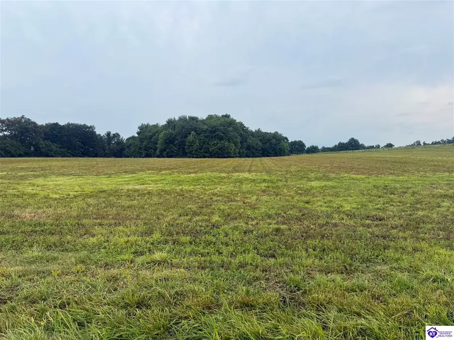 LOT 8 Heying Lane, Hodgenville, KY 42748 - #2