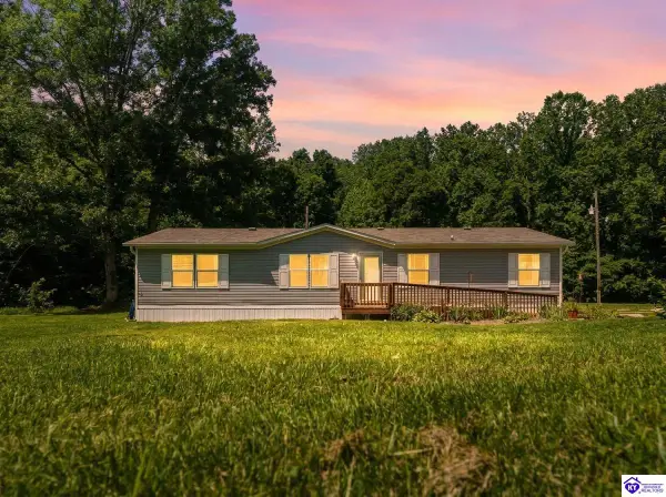 1401 Guston Bewleyville Road, Guston, KY 40142