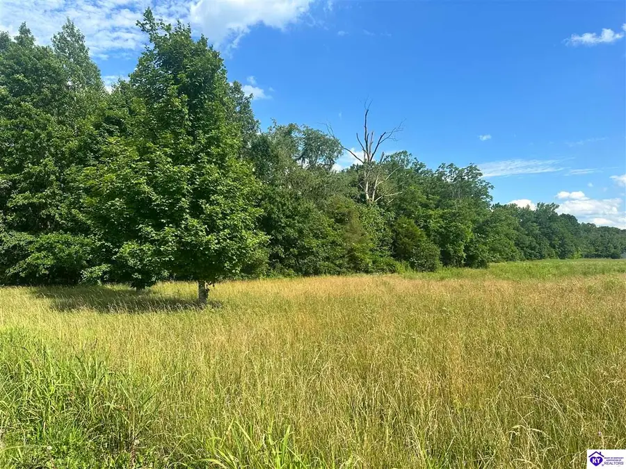 3839 Bradfordsville Road, Bradfordsville, KY 40009 - #2