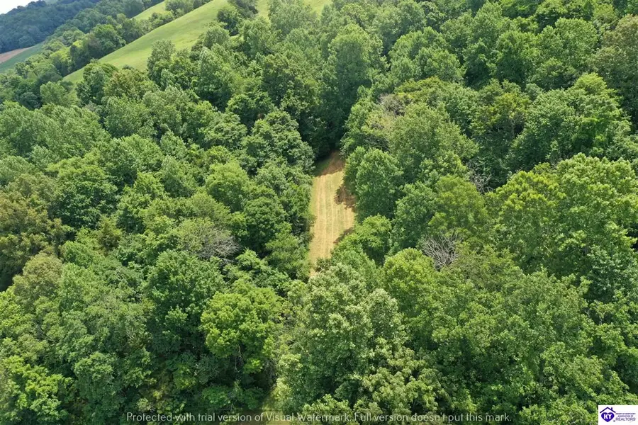 260 Maple Hill Spur Road, Greensburg, KY 42743-000 - #3