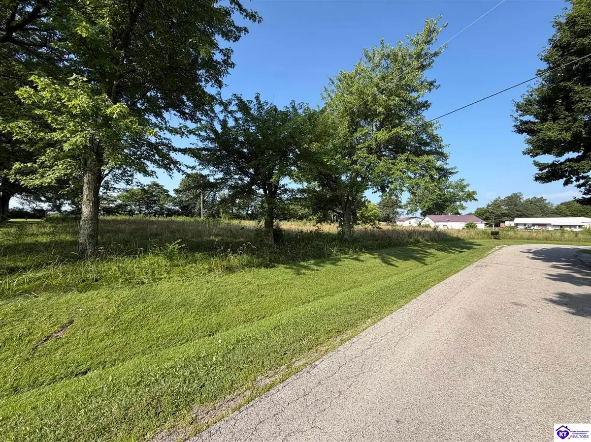 54 Meadow View Loop, Harned, KY 40144 - #1