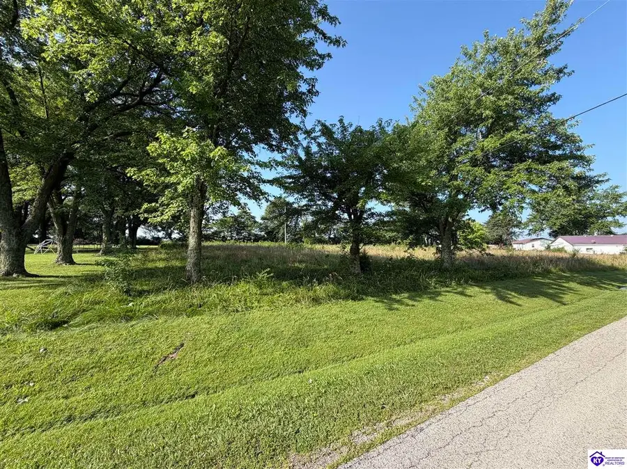 54 Meadow View Loop, Harned, KY 40144 - #2