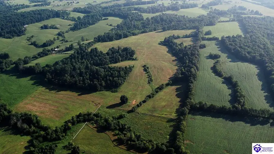 TRACT 3A & 4A Stiles Ford Road, Hodgenville, KY 42748 - #2