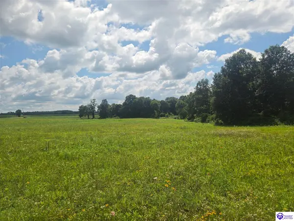 parcel 4 Lyons-Daugherty Road, Custer, KY 40115