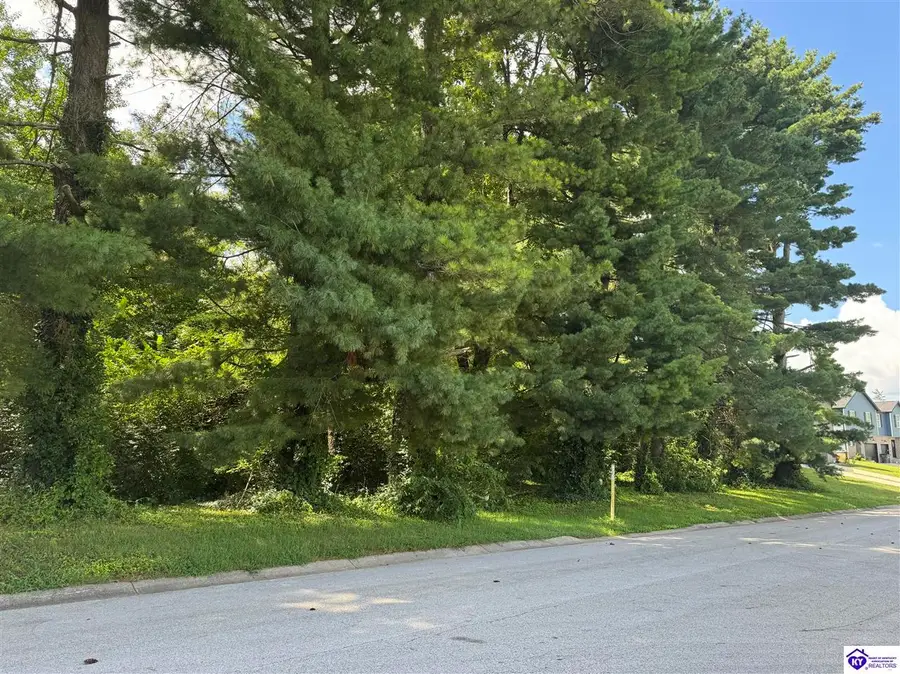 210 Hunter Lane, Elizabethtown, KY 42701-0000 - #2