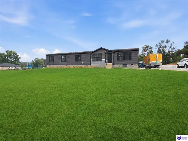 110 Laverne Lane, Guston, KY 40142