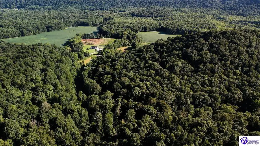 Lot 3 & 4 Perkins Lane, Howardstown, KY 40051 - #3
