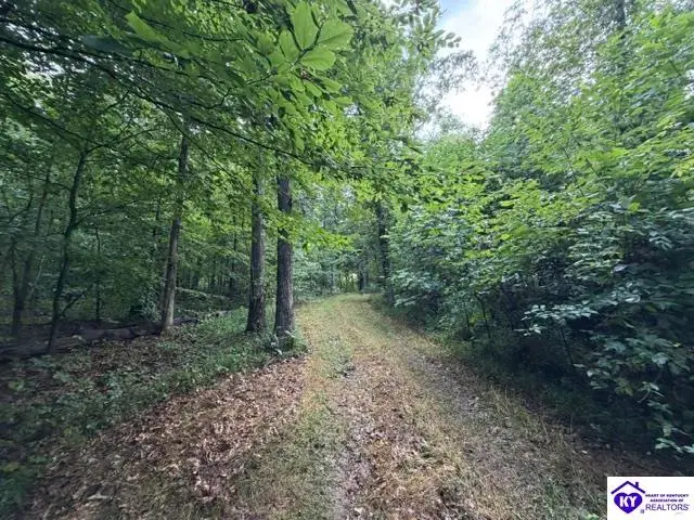 Tract G Sutzer Creek Road, Eastview, KY 42732 - #2